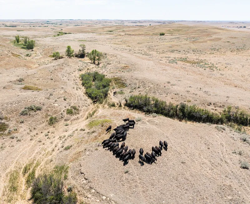 Beneath the Surface: How Geospatial Intelligence Is Exposing the Quiet Collapse of America's Groundwater Reserves